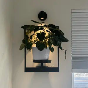Wall Mounted Plant Shelves for Home Decor & Space-Saving Green Display