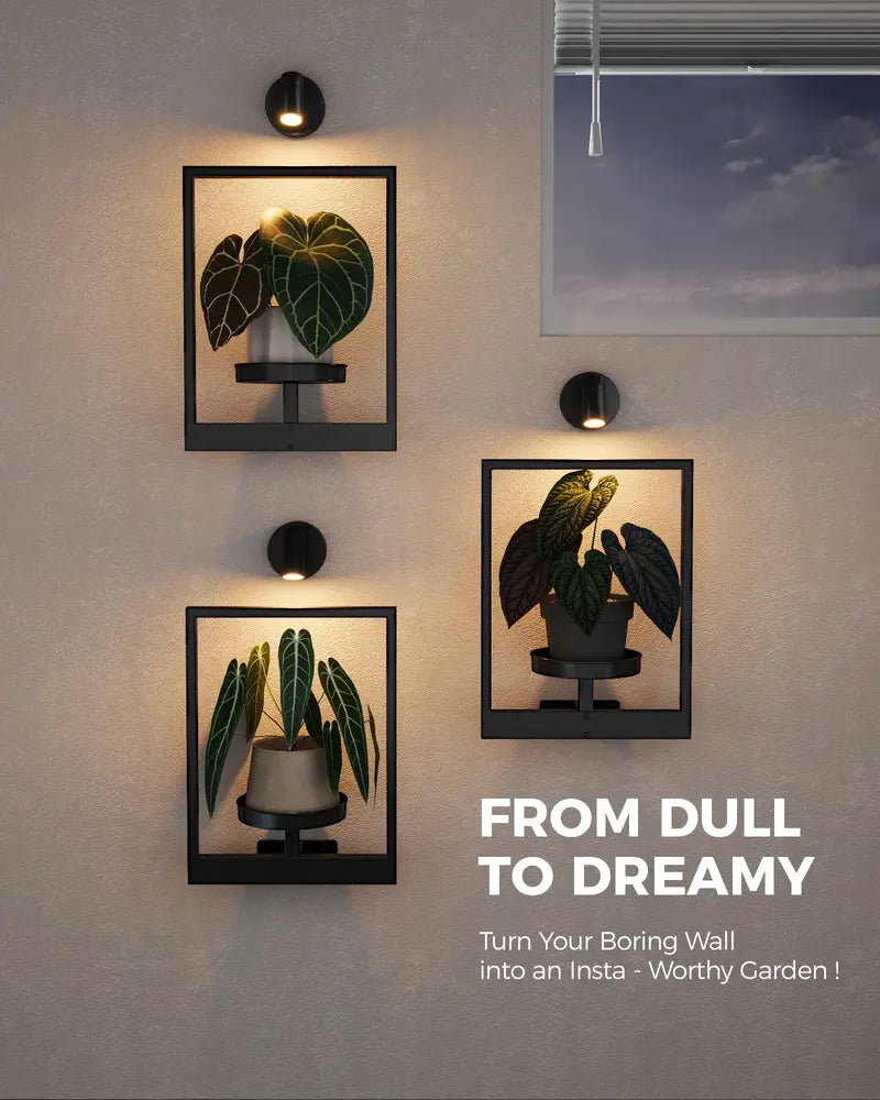 Wall Mounted Plant Shelves for Home Decor & Space-Saving Green Display