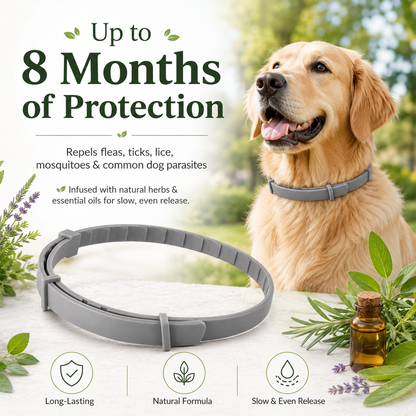 Natural plant extract pet collar – effectively repels fleas and ticks