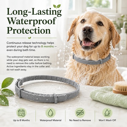 Natural plant extract pet collar – effectively repels fleas and ticks