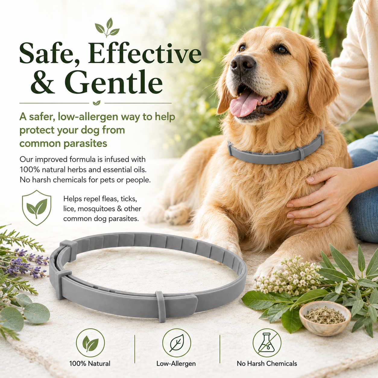Natural plant extract pet collar – effectively repels fleas and ticks