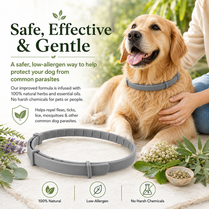 Natural plant extract pet collar – effectively repels fleas and ticks