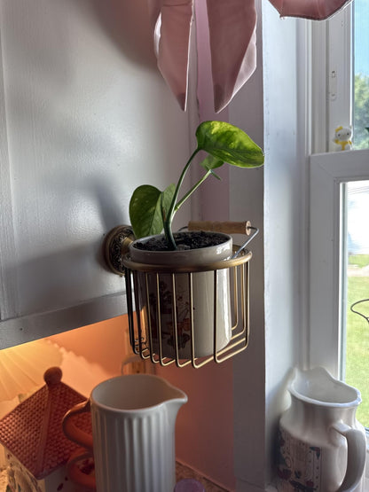 Vintage Bronze Wall Mounted Toilet Paper Holder (100% Brass)