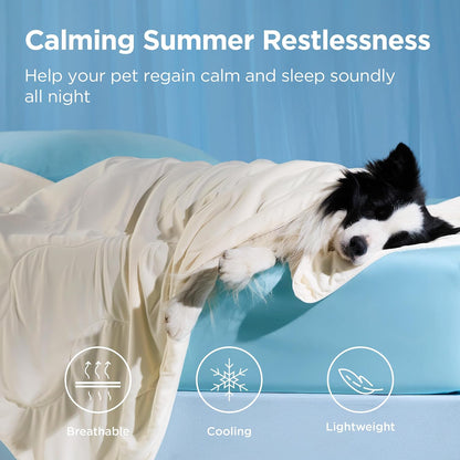 Premium Dual-Sided Cooling Pet Blanket – Orthopedic Joint Relief & Washable Sofa Shield