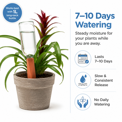 💧Ceramic Terracotta Self Watering Spikes💧