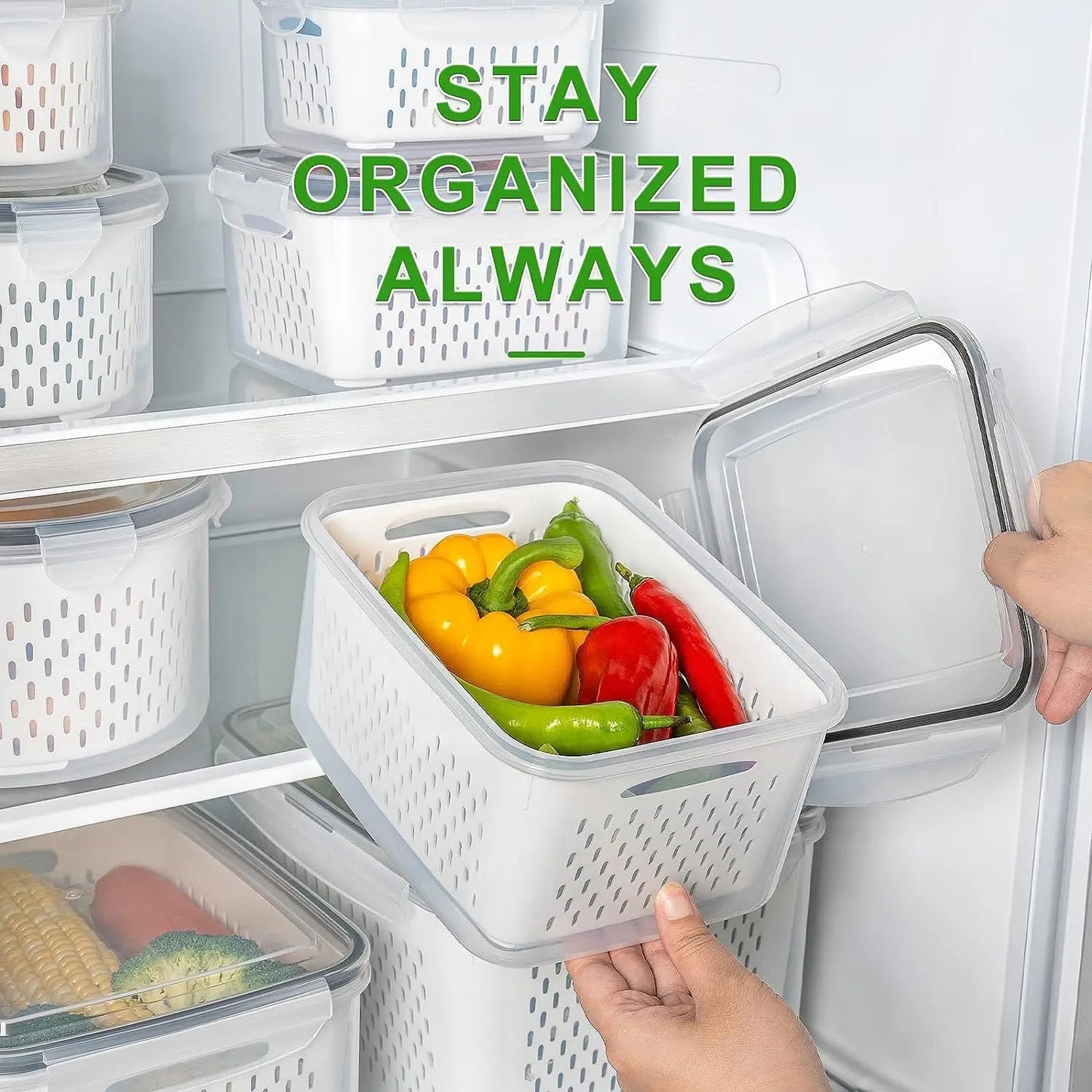 🍇Stackable fruit and vegetable preservation filter box