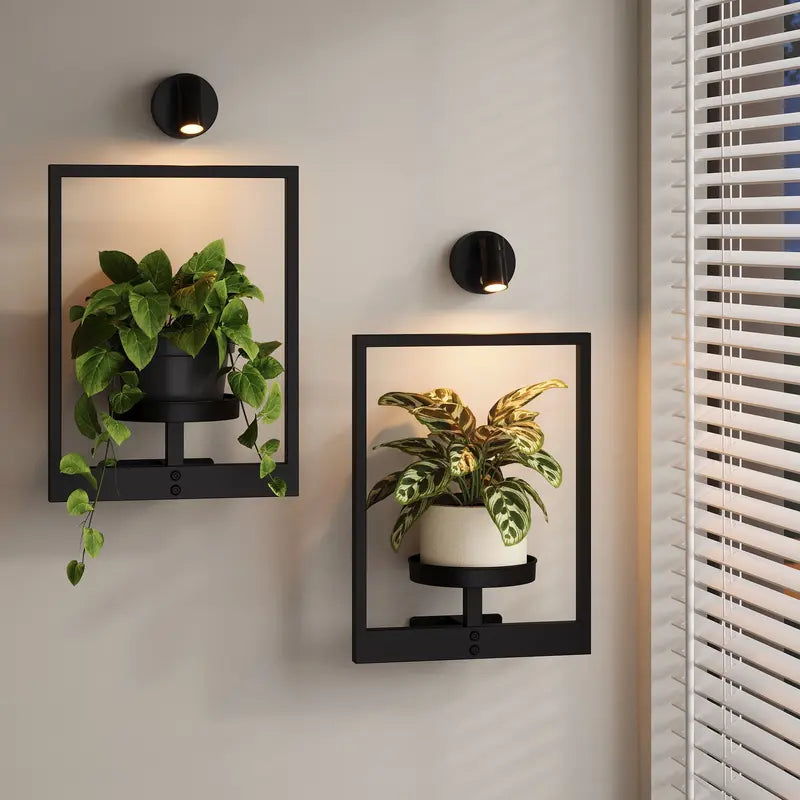 Wall Mounted Plant Shelves for Home Decor & Space-Saving Green Display