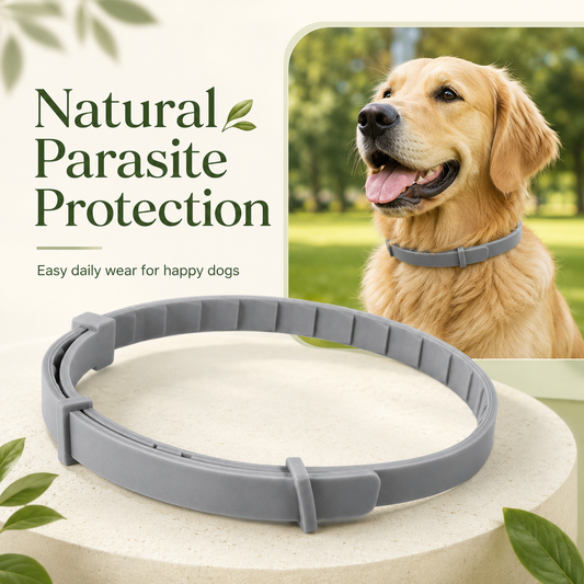 Natural plant extract pet collar – effectively repels fleas and ticks