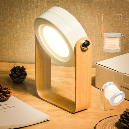 Foldable Portable USB Rechargeable LED Desk Lamp