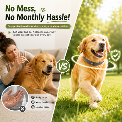 Natural plant extract pet collar – effectively repels fleas and ticks
