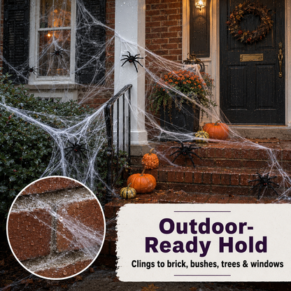 Ultra-Stretch Cobweb Decor Kit with 6 Vivid Spiders