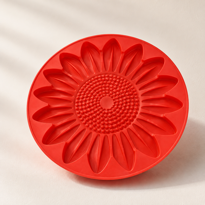 Vibrant Stepping Stones Collection