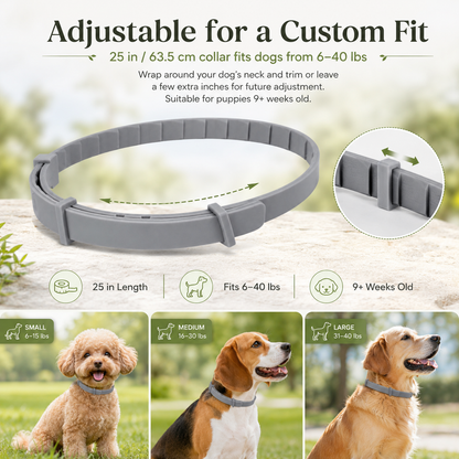 Natural plant extract pet collar – effectively repels fleas and ticks