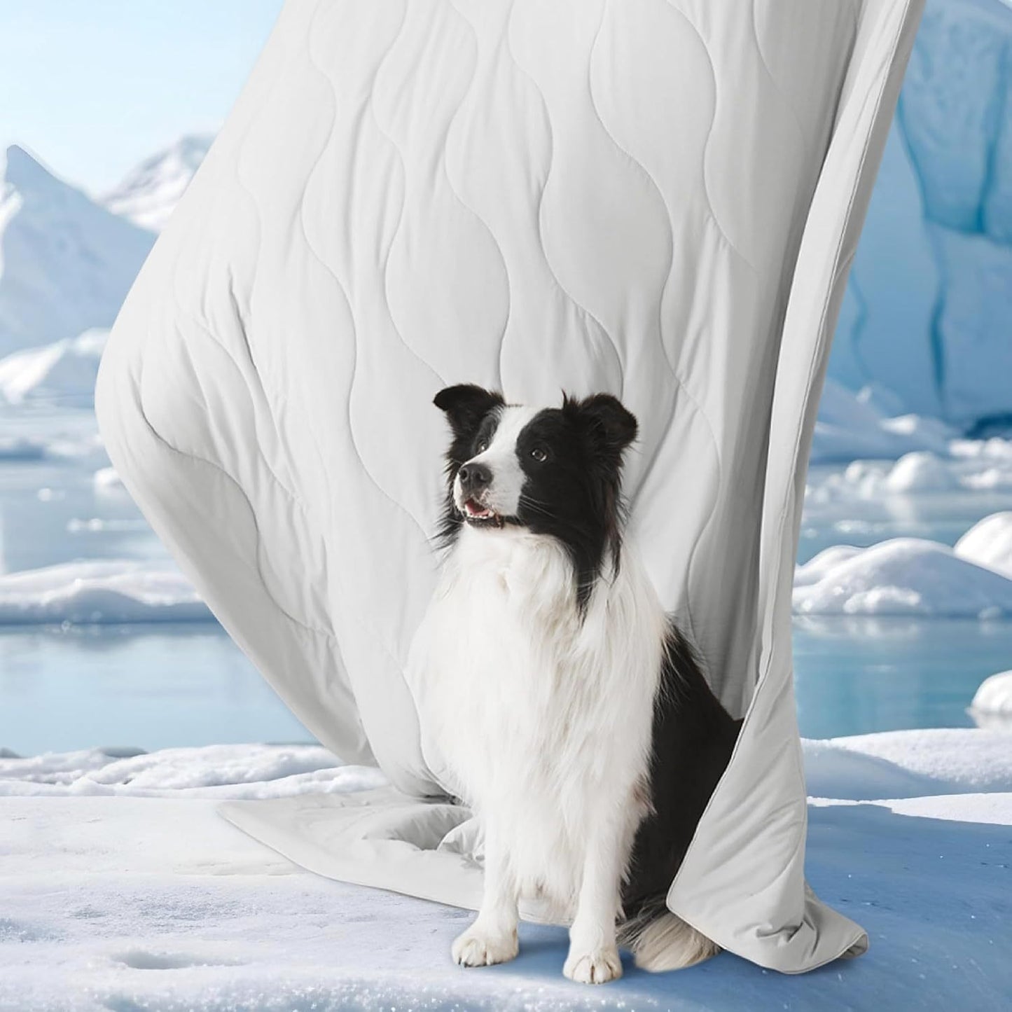 Premium Dual-Sided Cooling Pet Blanket – Orthopedic Joint Relief & Washable Sofa Shield