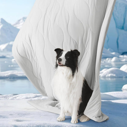 Premium Dual-Sided Cooling Pet Blanket – Orthopedic Joint Relief & Washable Sofa Shield