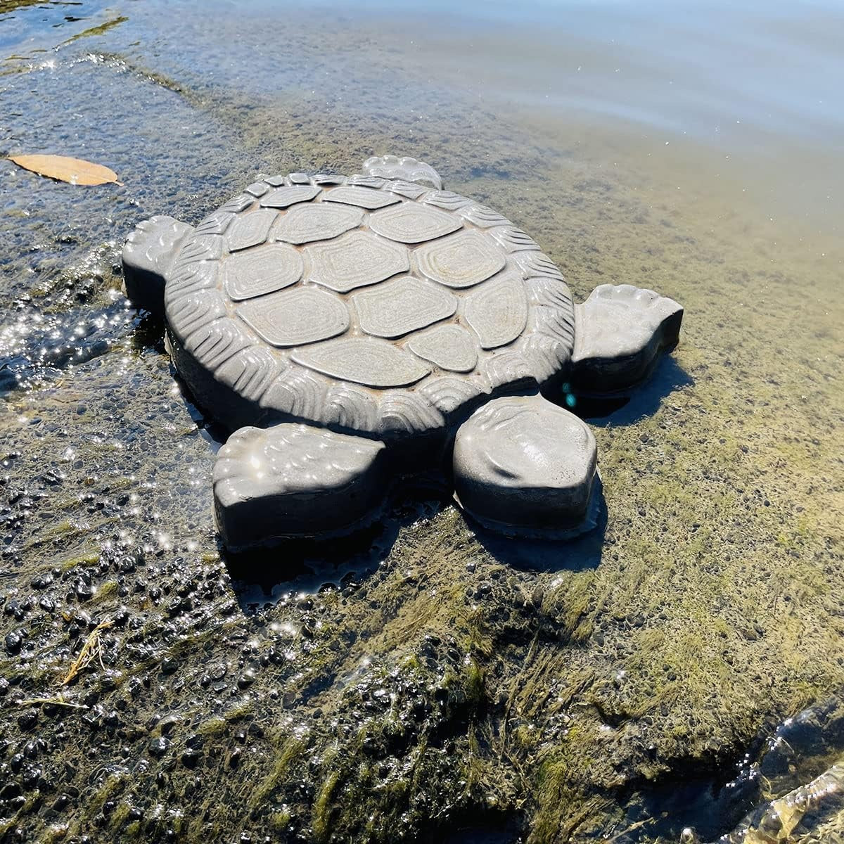 Vibrant Stepping Stones Collection