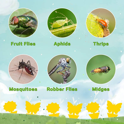 Heavy-Duty Sticky Bug Traps – Non-Toxic Double-Sided Plant Fly Catcher for Indoor & Outdoor Garden Pests