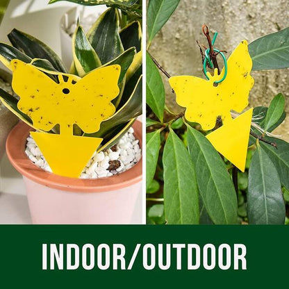 Heavy-Duty Sticky Bug Traps – Non-Toxic Double-Sided Plant Fly Catcher for Indoor & Outdoor Garden Pests